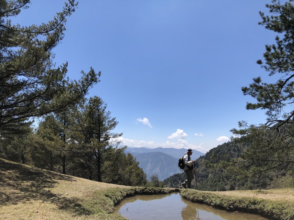 IMG_5009.JPG - 鹿林山  麟趾山步道  (01)