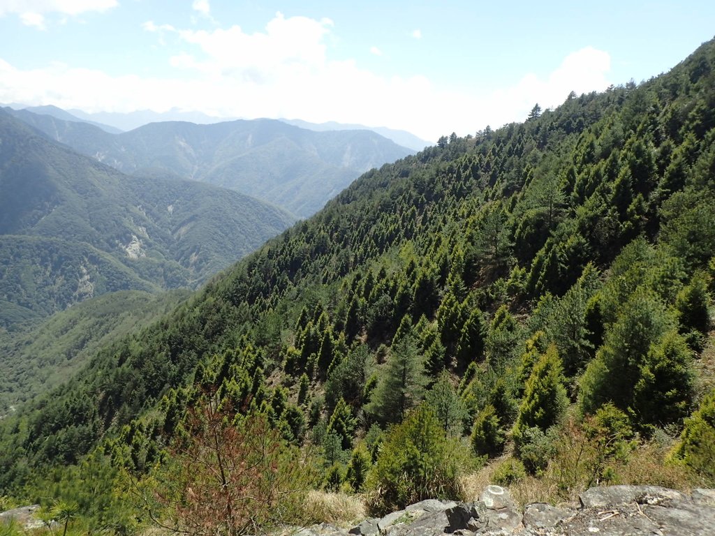 P3268176.JPG - 鹿林山  麟趾山步道  (02)