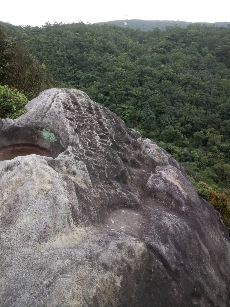 DSC_6995.JPG - 汐止  柯子林山  如意湖