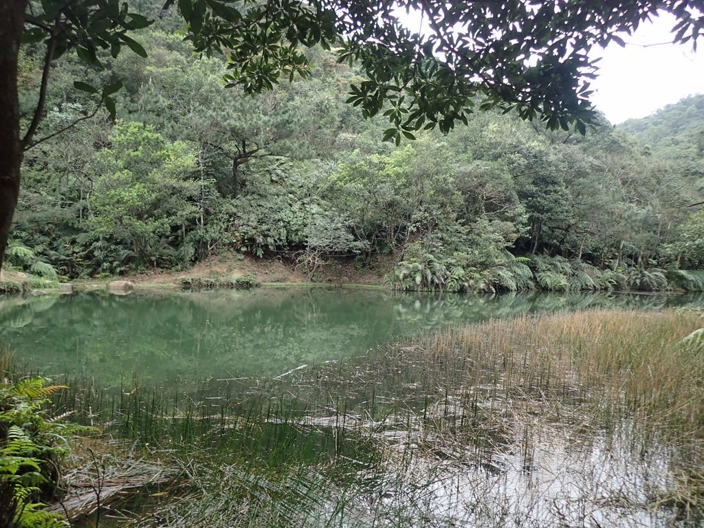 P3160127.JPG - 汐止  柯子林山  如意湖