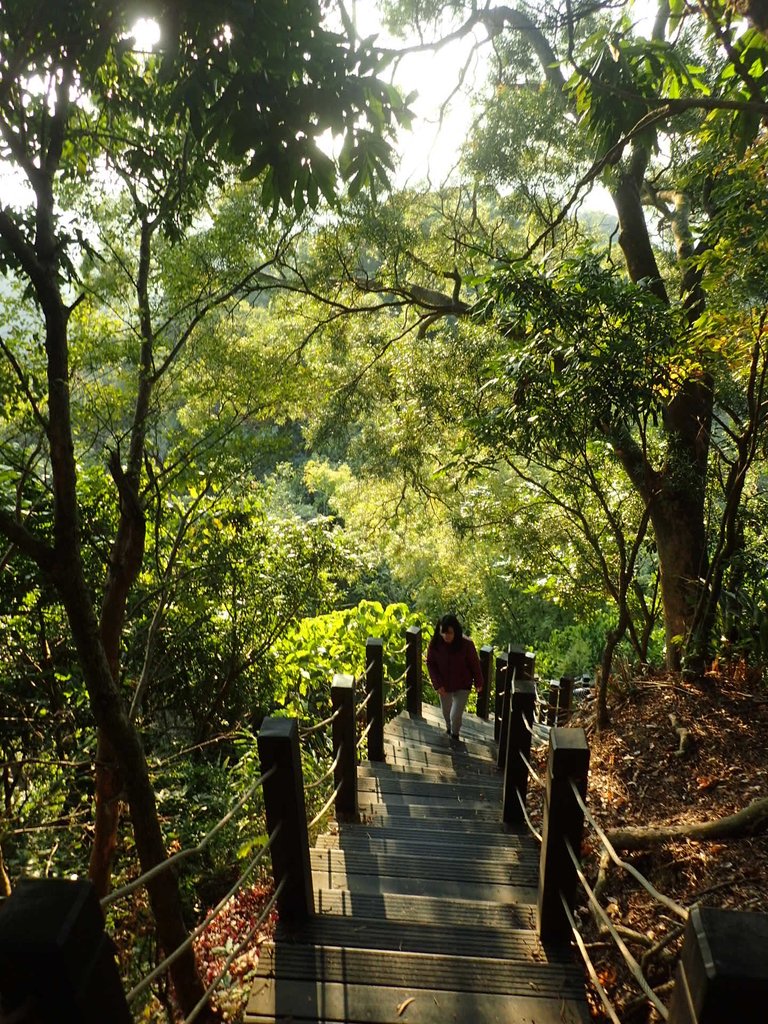 P1123670.JPG - 潭子 聚興山  新田登山步道