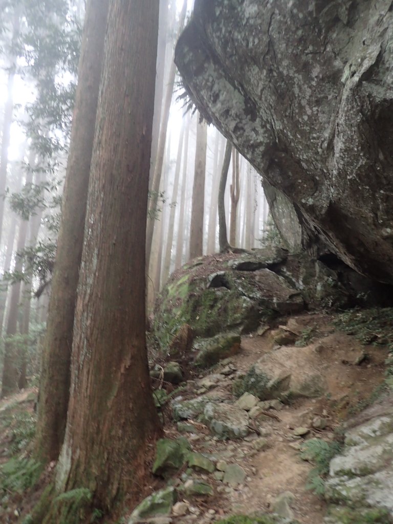 P2034962.JPG - 南庄  加里山  森林鐵道