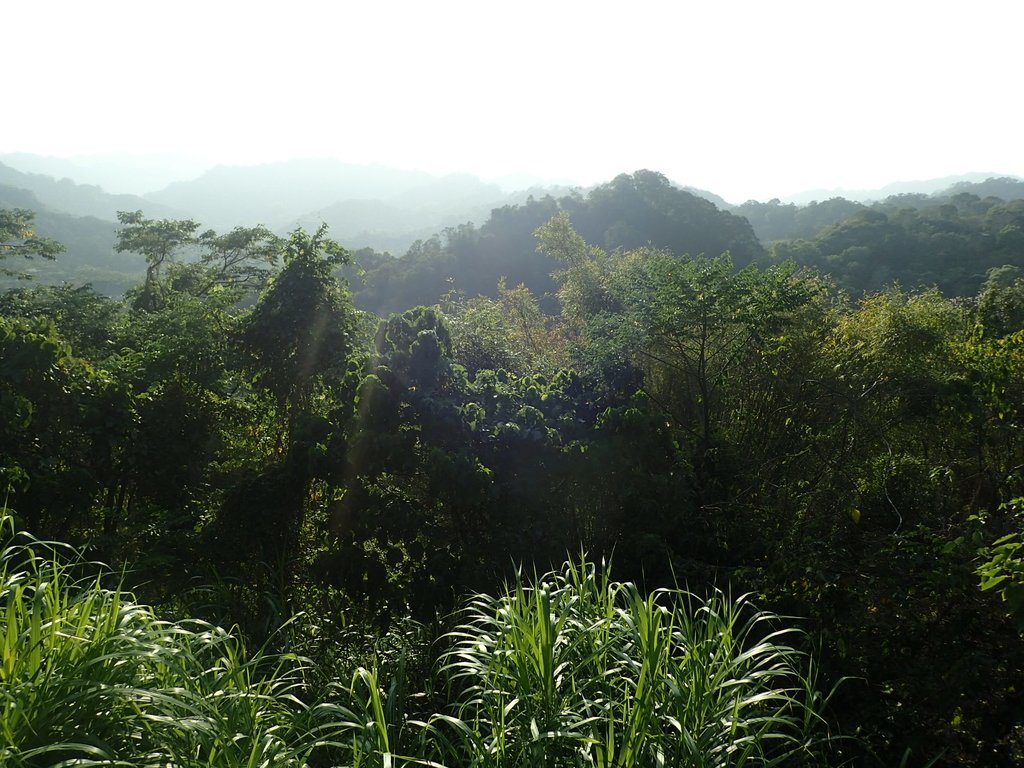 P2276003.JPG - 太平  酒桶山  暮色之美