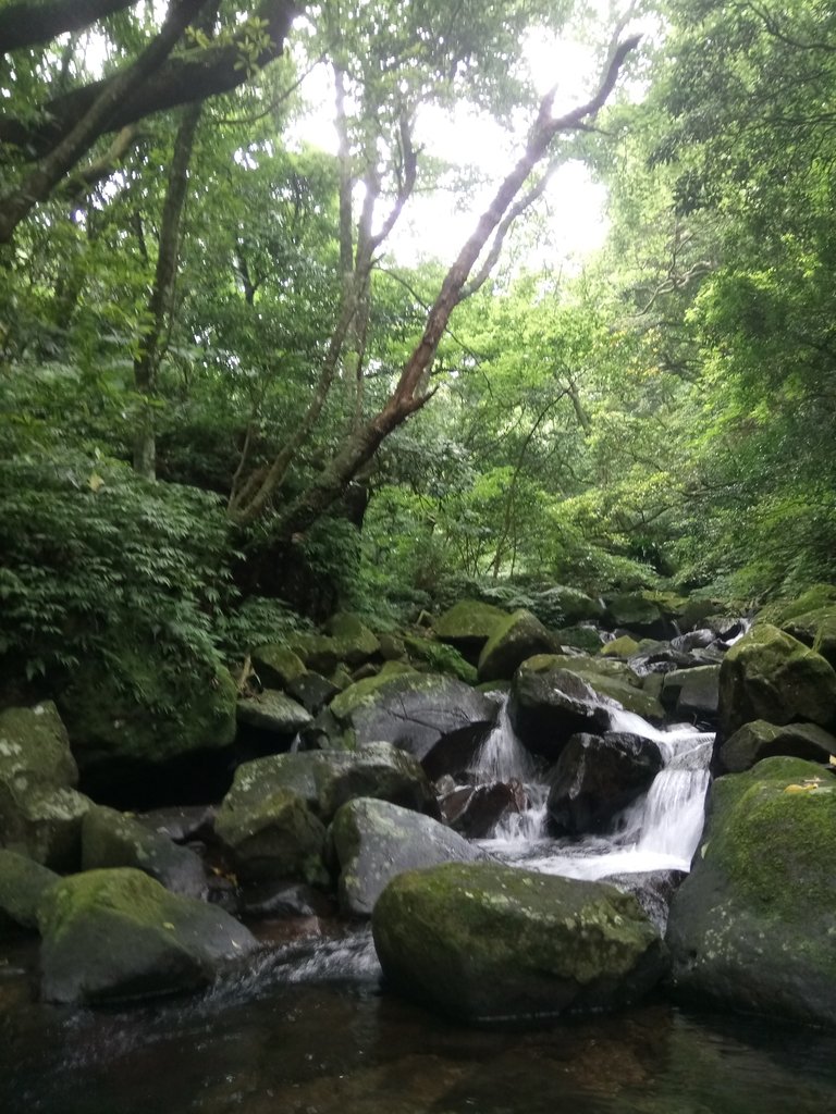 DSC_0732.JPG - 三芝  大屯溪古道