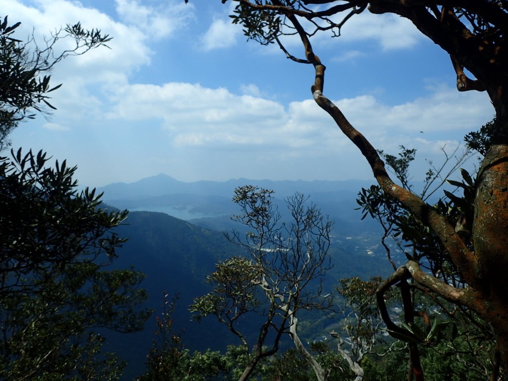 PA040459.JPG - 魚池  大尖山登山步道