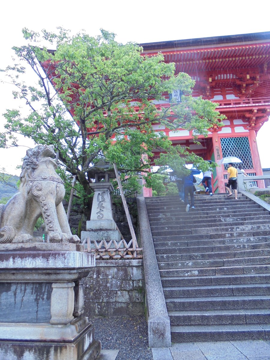 DSC04114.JPG - 再訪  京都  清水寺