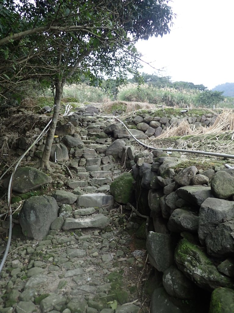 P1263952.JPG - 金山  大路崁古道