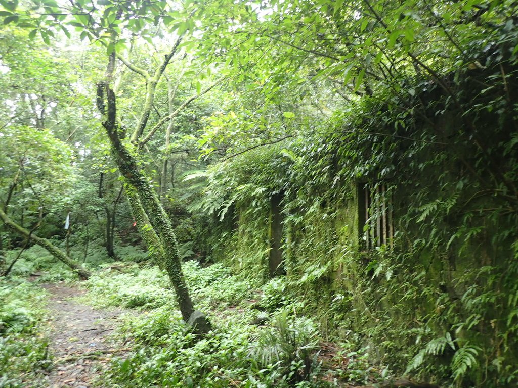 P1274415.JPG - 瑞芳  燦光寮古道初探