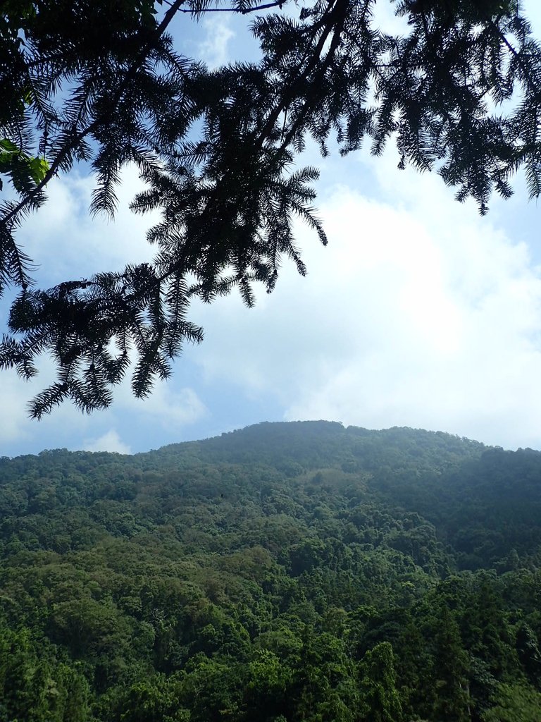 PA064482.JPG - 大湖  馬那邦山  (03)