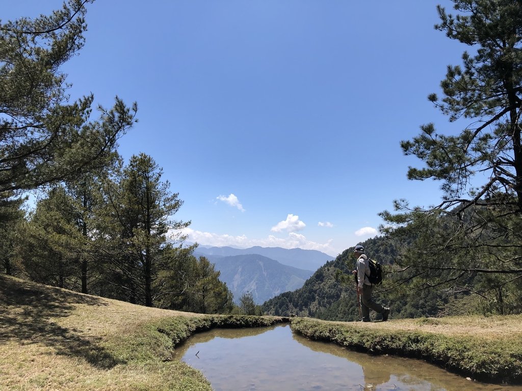 IMG_5010.JPG - 鹿林山  麟趾山步道  (01)