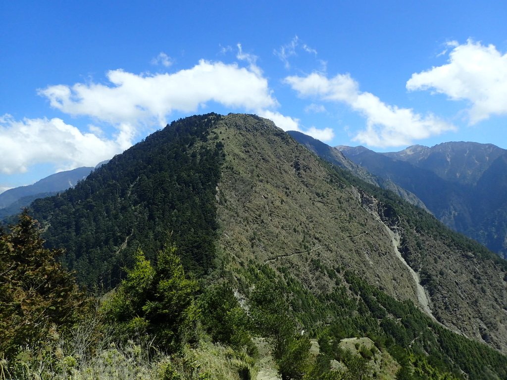 P3268178.JPG - 鹿林山  麟趾山步道  (02)