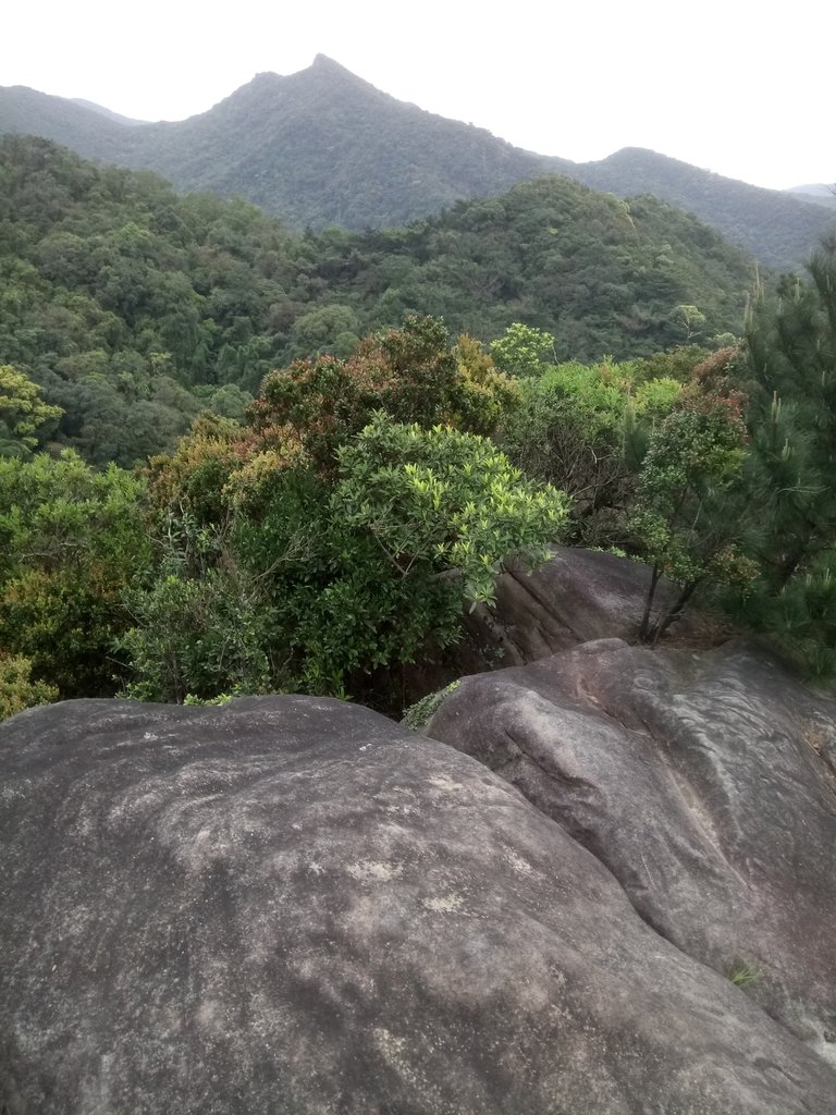 DSC_6996.JPG - 汐止  柯子林山  如意湖