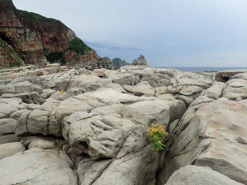 P6220971.JPG - 貢寮  龍洞岬  奇岩之美