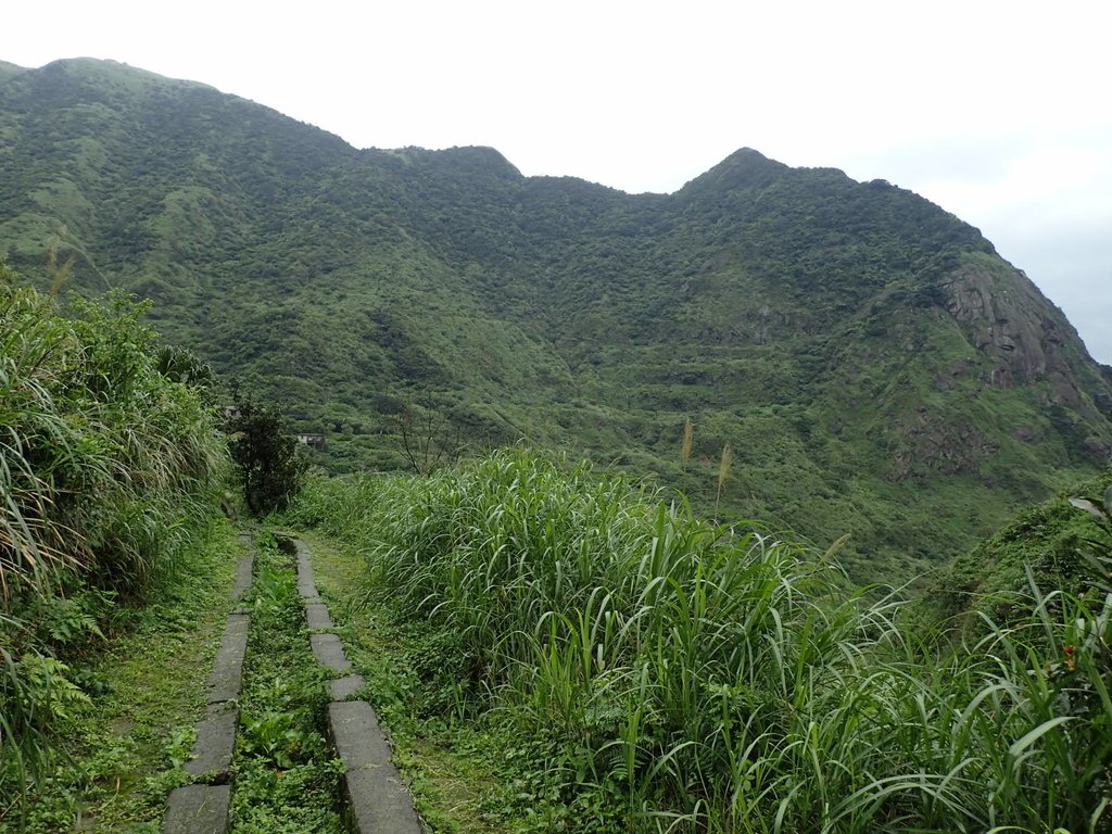 P3240565.JPG - 金瓜石之  內九份溪圳橋