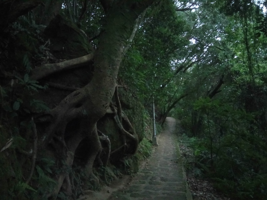 DSC_9294.JPG - 內湖  白鷺鷥山親山步道