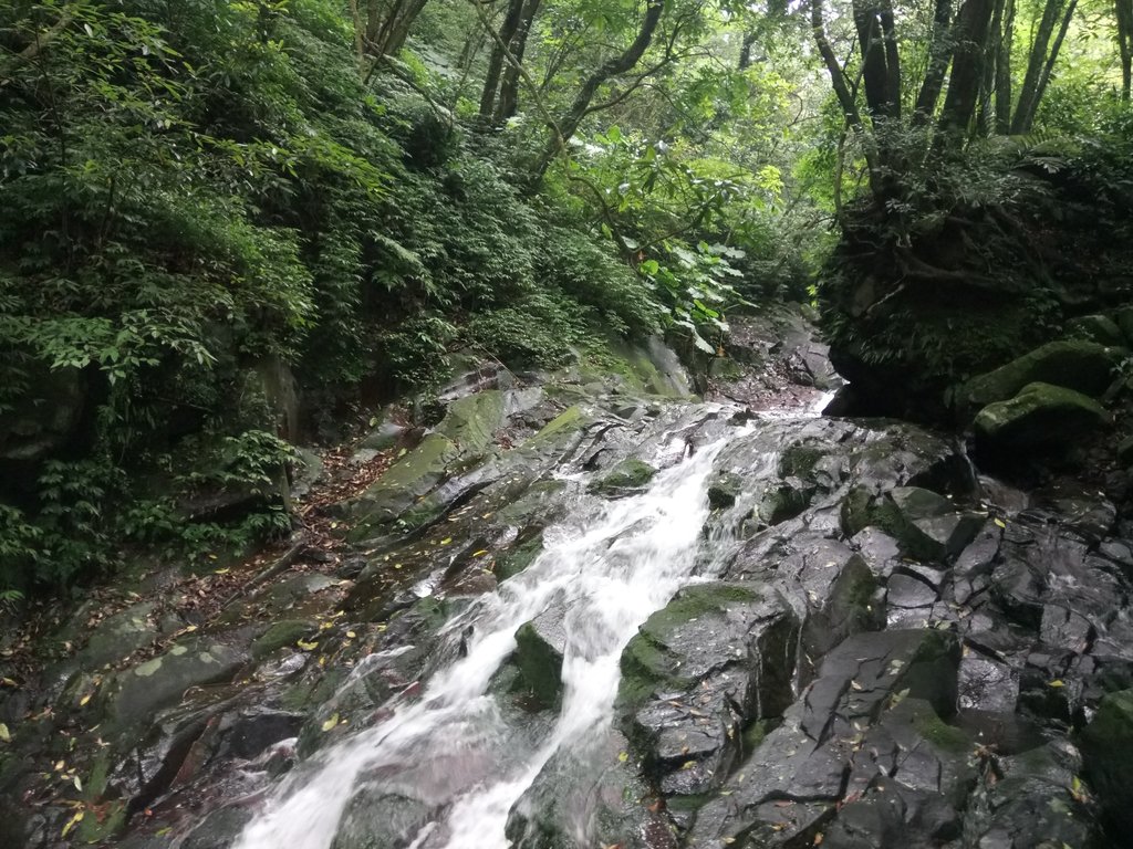 DSC_0736.JPG - 三芝  大屯溪古道