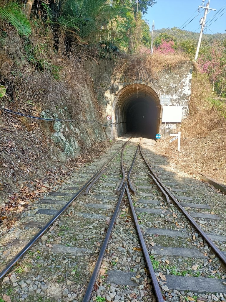 IMG20210130103710.jpg - 竹崎  獨立山登山步道