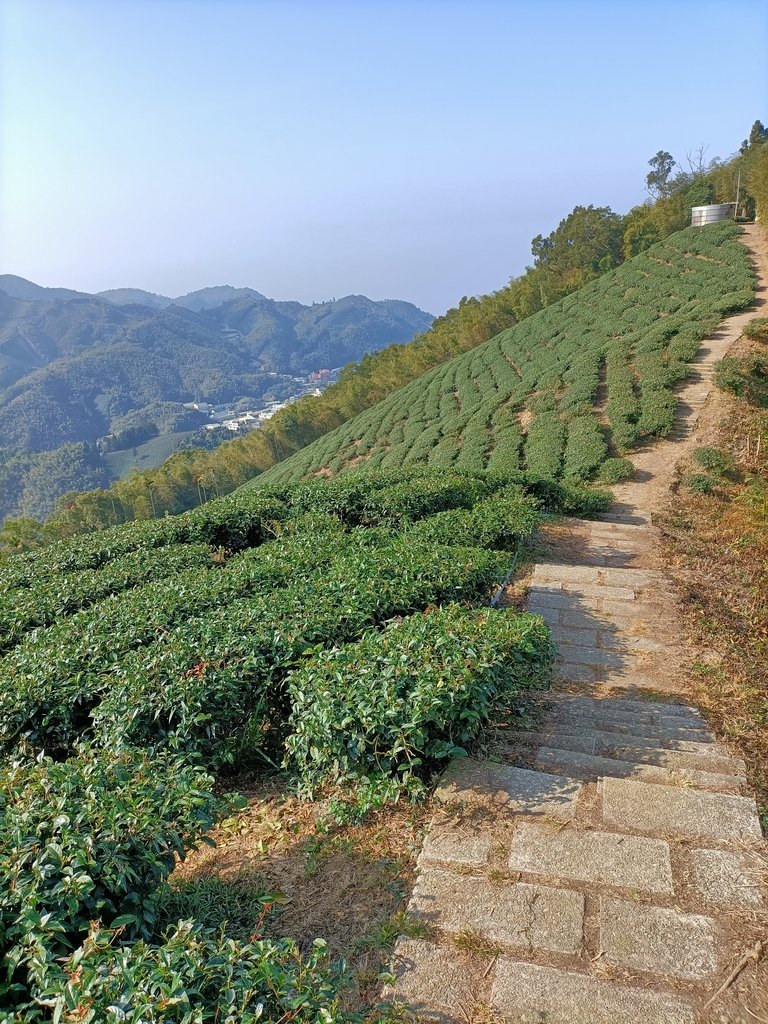 IMG20210130093025.jpg - 雲嘉連峰之  太平山  梨子腳山