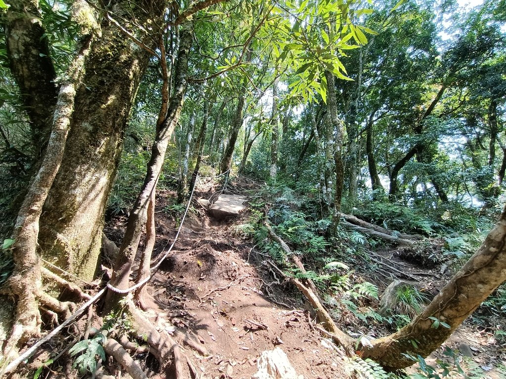 IMG20210403102832.jpg - 五峰  鵝公髻山登山步道  (01)