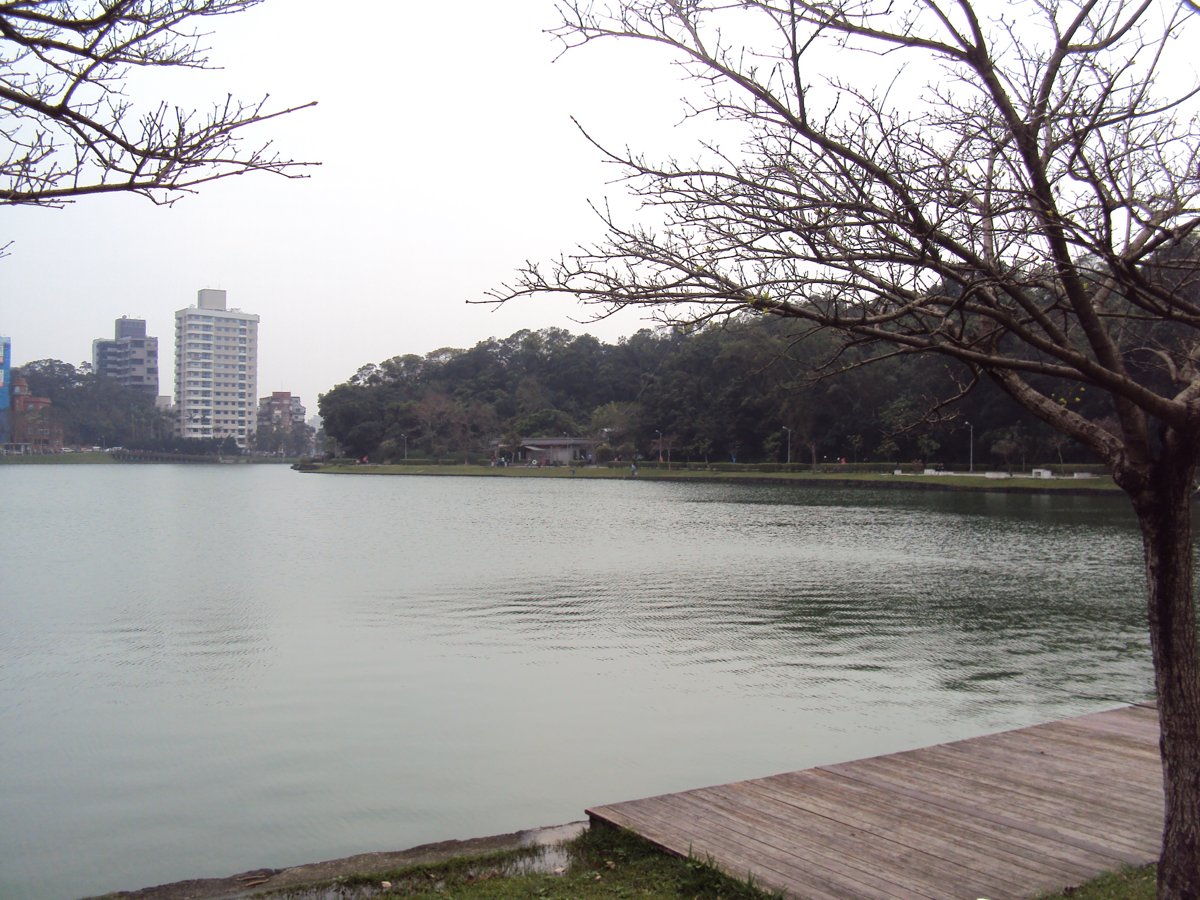 DSC04632.JPG - 內湖  碧湖環湖步道