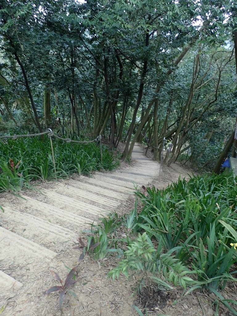 P2168004.JPG - 三峽  鳶尾山登山步道