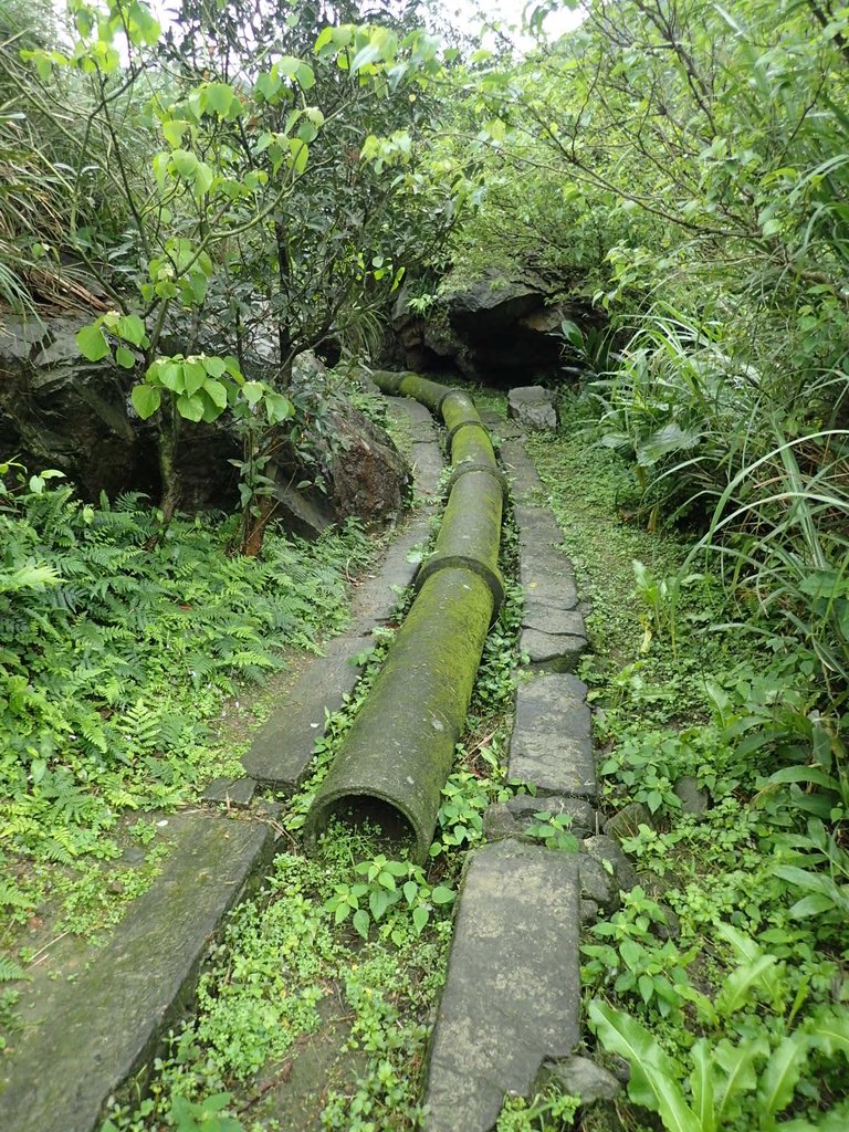 P3240572.JPG - 金瓜石之  內九份溪圳橋