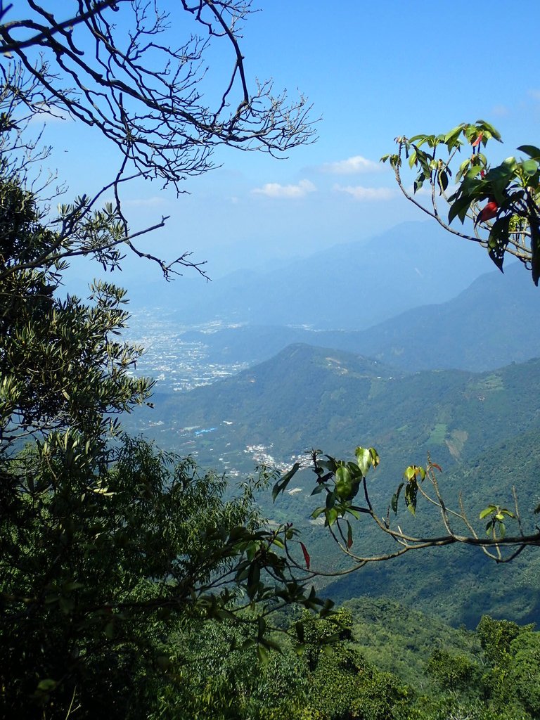 PA040464.JPG - 魚池  大尖山登山步道