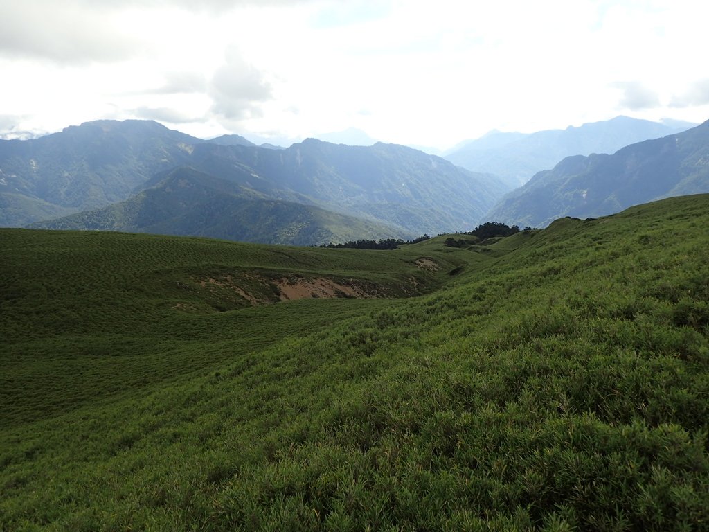 P7245982.JPG - 合歡山  北峰之美  (中)