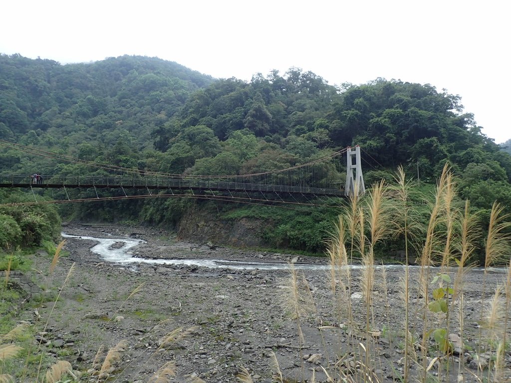 P8226898.JPG - 太平山  鳩之澤溫泉