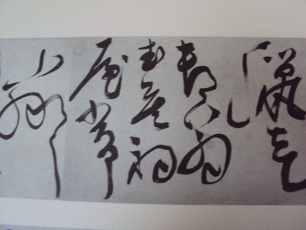 DSC00234.JPG - 陳淳的草書作品