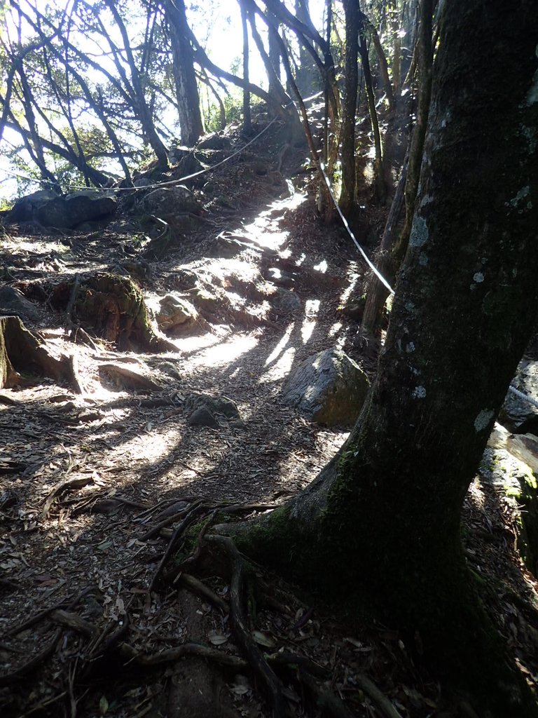 PA185561.JPG - 再訪---  台中  和平  鳶嘴山