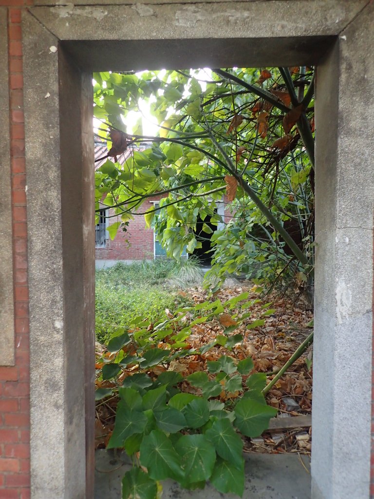 PA196480.JPG - 記憶廢墟  (357)