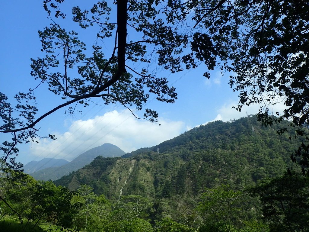 P3167369.JPG - 谷關七雄之  屋我尾山