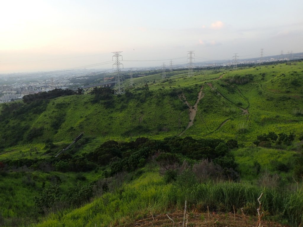 P7296164.JPG - 龍井  竹坑南寮登山步道