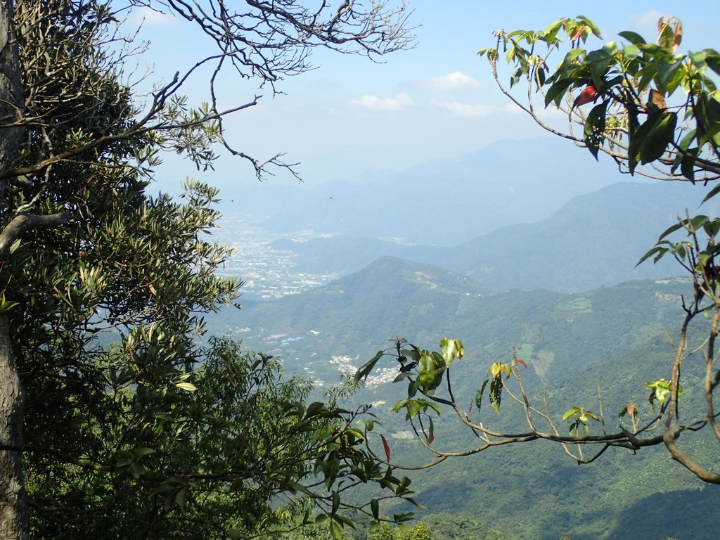 PA040466.JPG - 魚池  大尖山登山步道