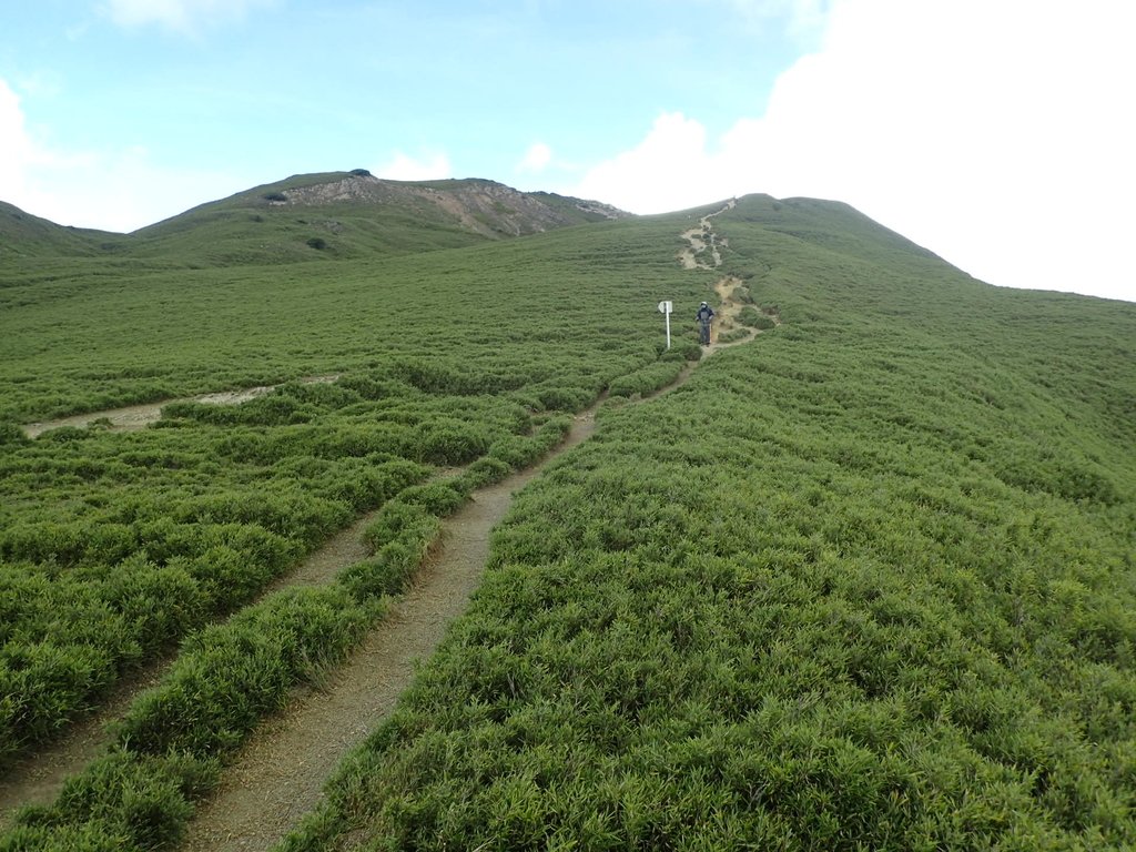 P7245985.JPG - 合歡山  北峰之美  (中)