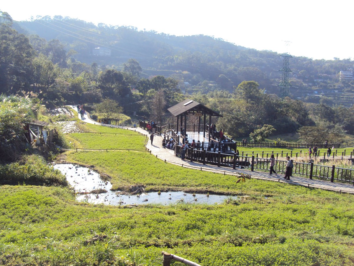 DSC03467.JPG - 貓空  樟樹步道