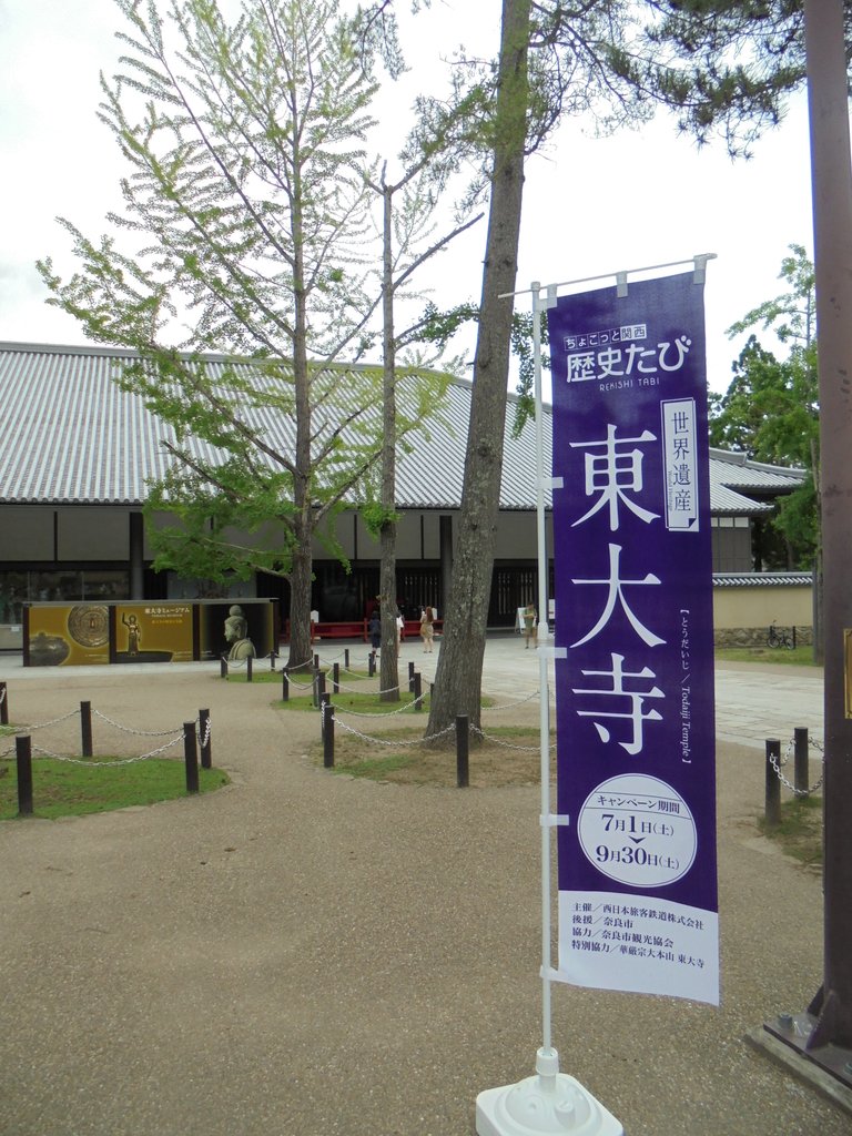 DSC03842.JPG - 奈良  東大寺