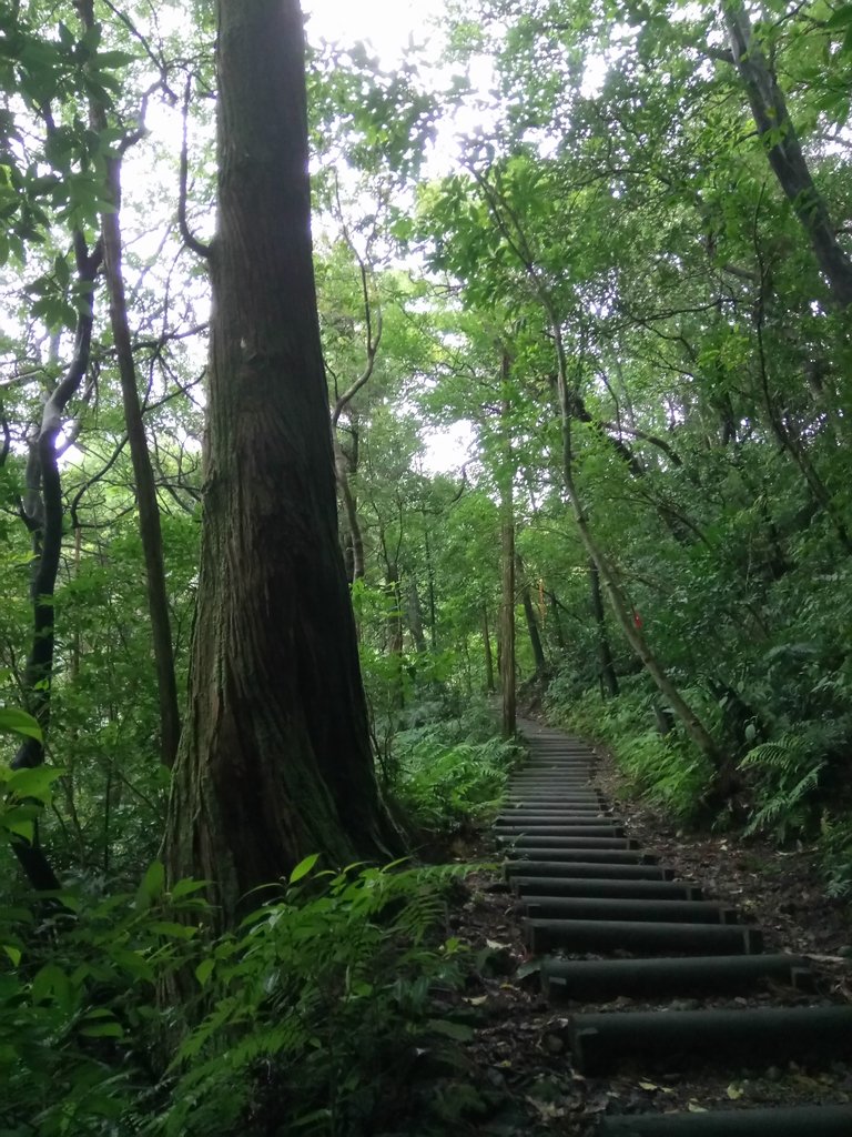 DSC_6630.JPG - 淡蘭古道  暖東舊路