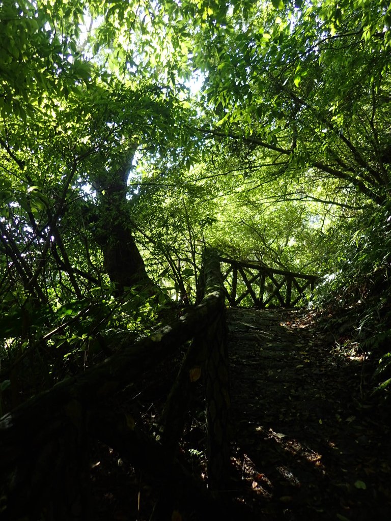 PB247211.JPG - 北投  中正山登山步道 03