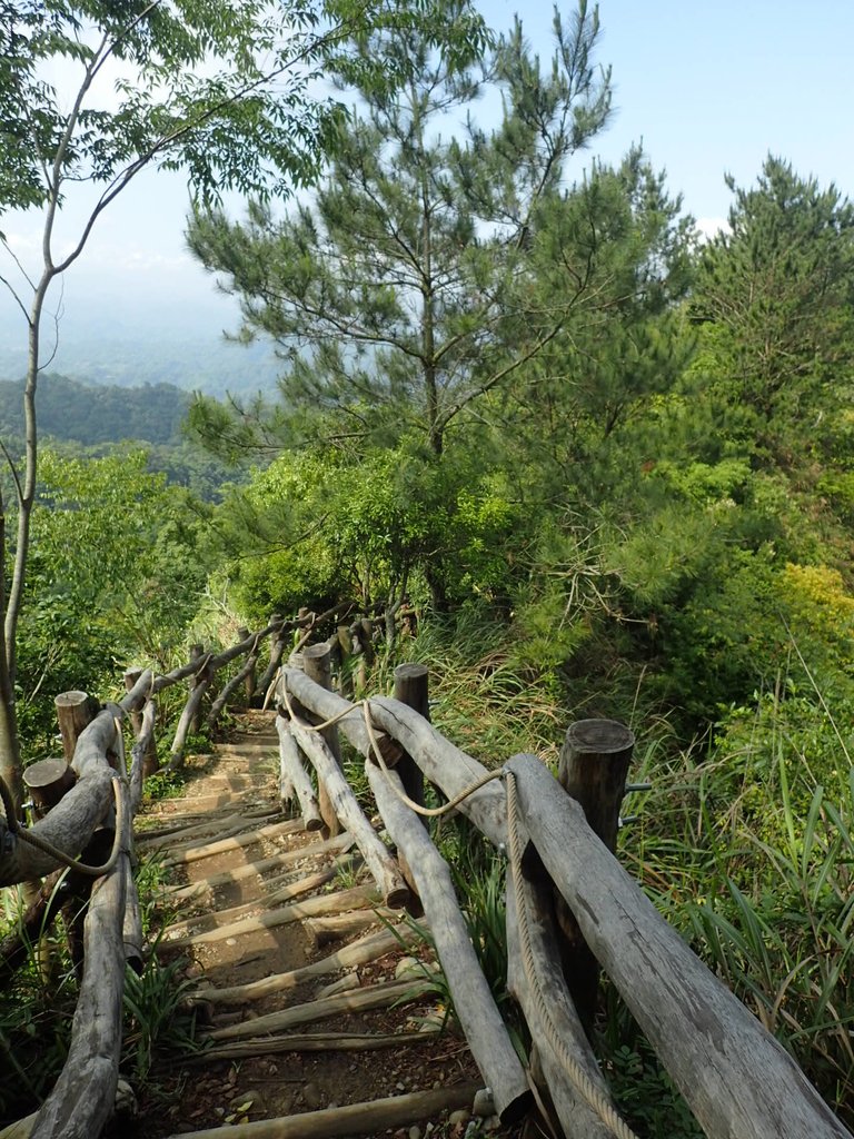 P5117150.JPG - 大坑四號步道  頭嵙山