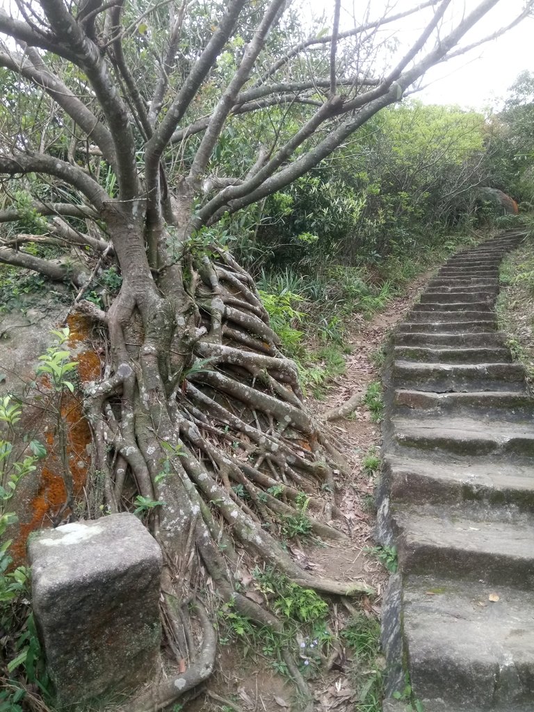 DSC_5860.JPG - 內湖  大崙尾山