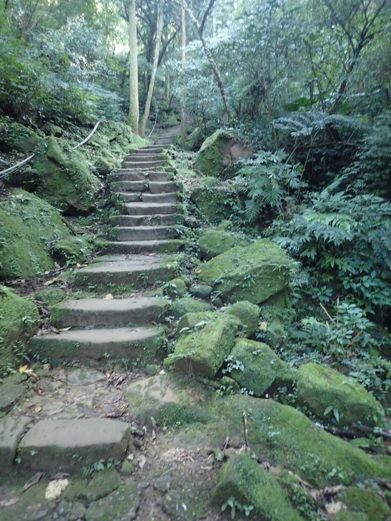 P1224264.JPG - 再訪---  平溪  孝子山登山步道