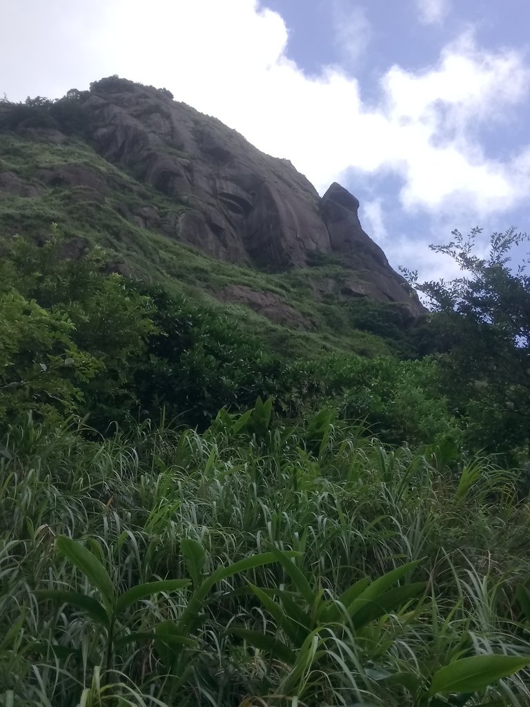 DSC_9456.JPG - 瑞芳  雷霆岩下之  溪谷風情