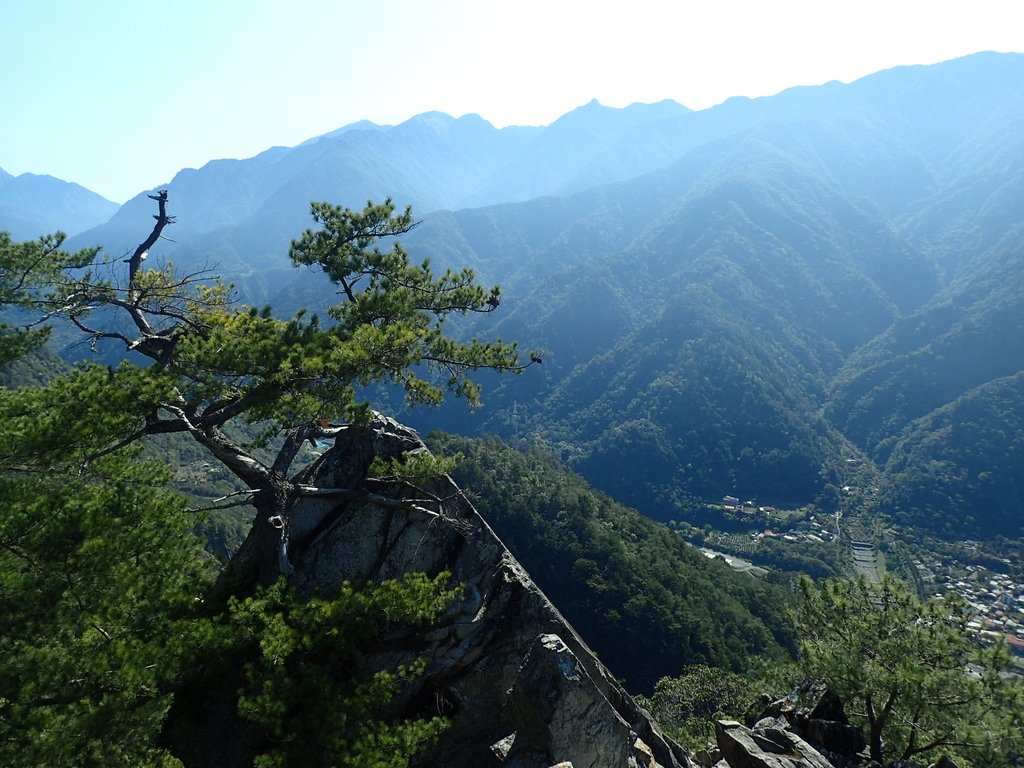 P3167239.JPG - 谷關  東卯山東南稜