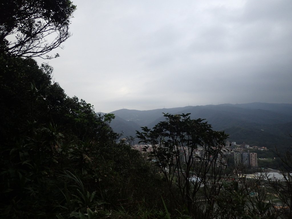 P3116941.JPG - 內湖  白鷺鷥山親山步道