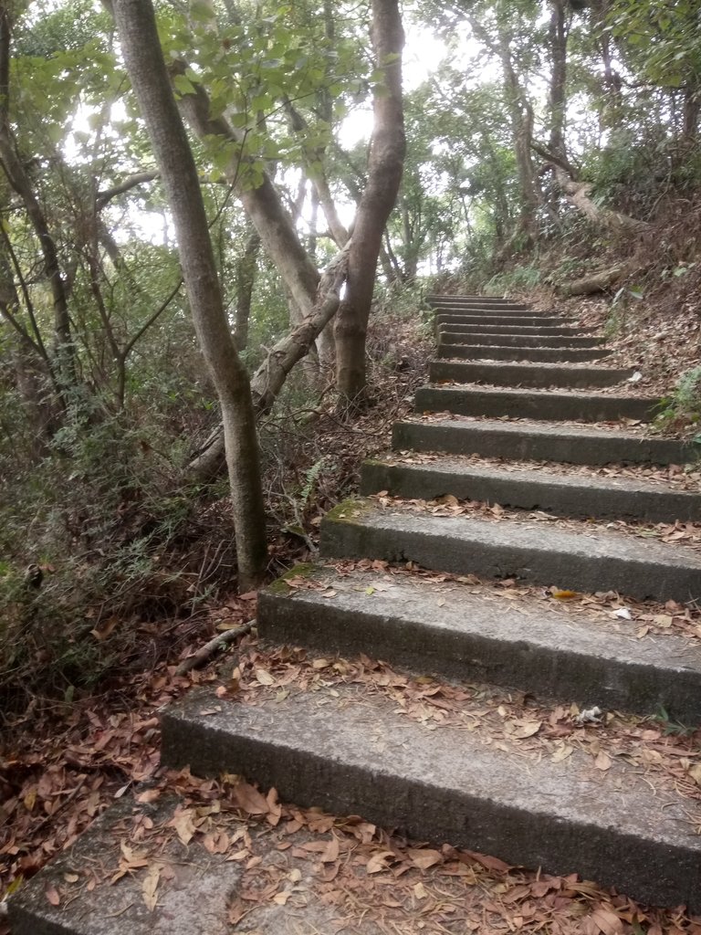 DSC_7461.JPG - 小百岳  橫山觀日步道