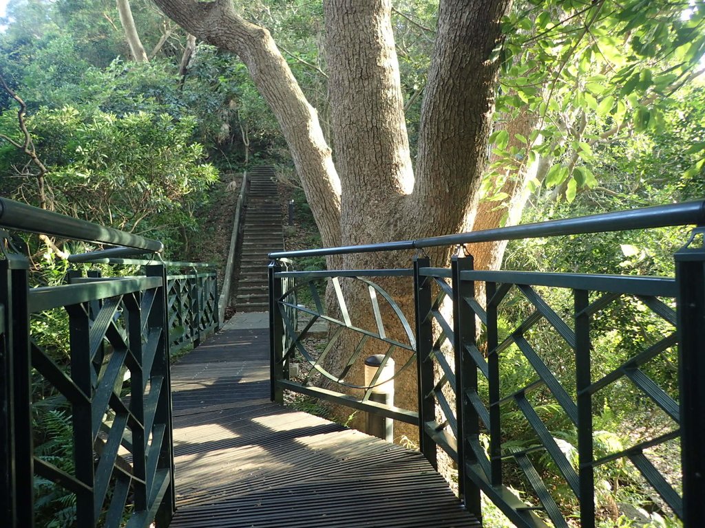 P6204753.JPG - 新店  碧潭  和美山登山步道