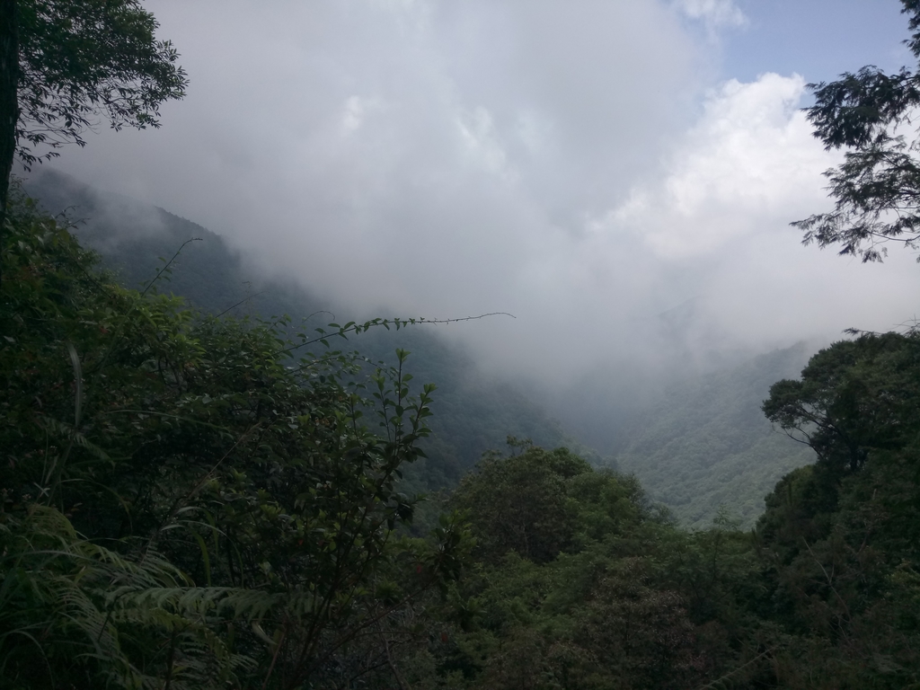 DSC_5281.JPG - 台中  和平  橫嶺山自然步道