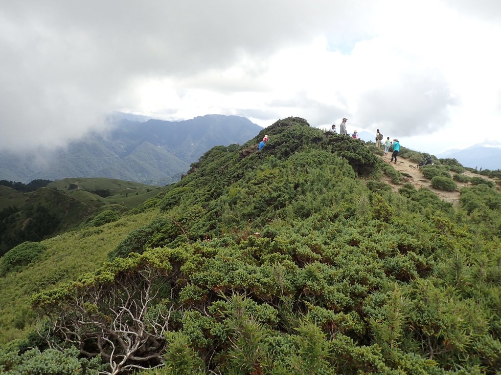 P7245998.JPG - 合歡山  北峰之美  (中)